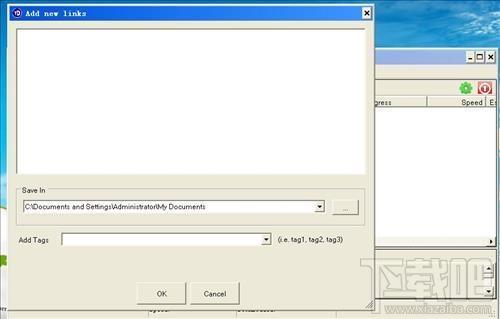 Tiny Downloader,Tiny Downloader下载,Tiny Downloader官方下载